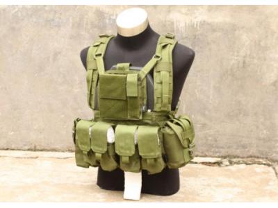 TMC MOLLE RRV Plate Carrier with Pouch ( OD )